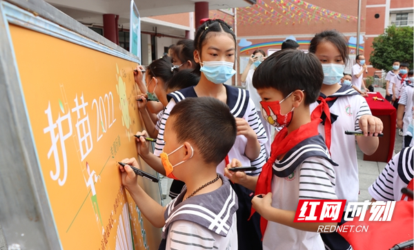图片54.jpg