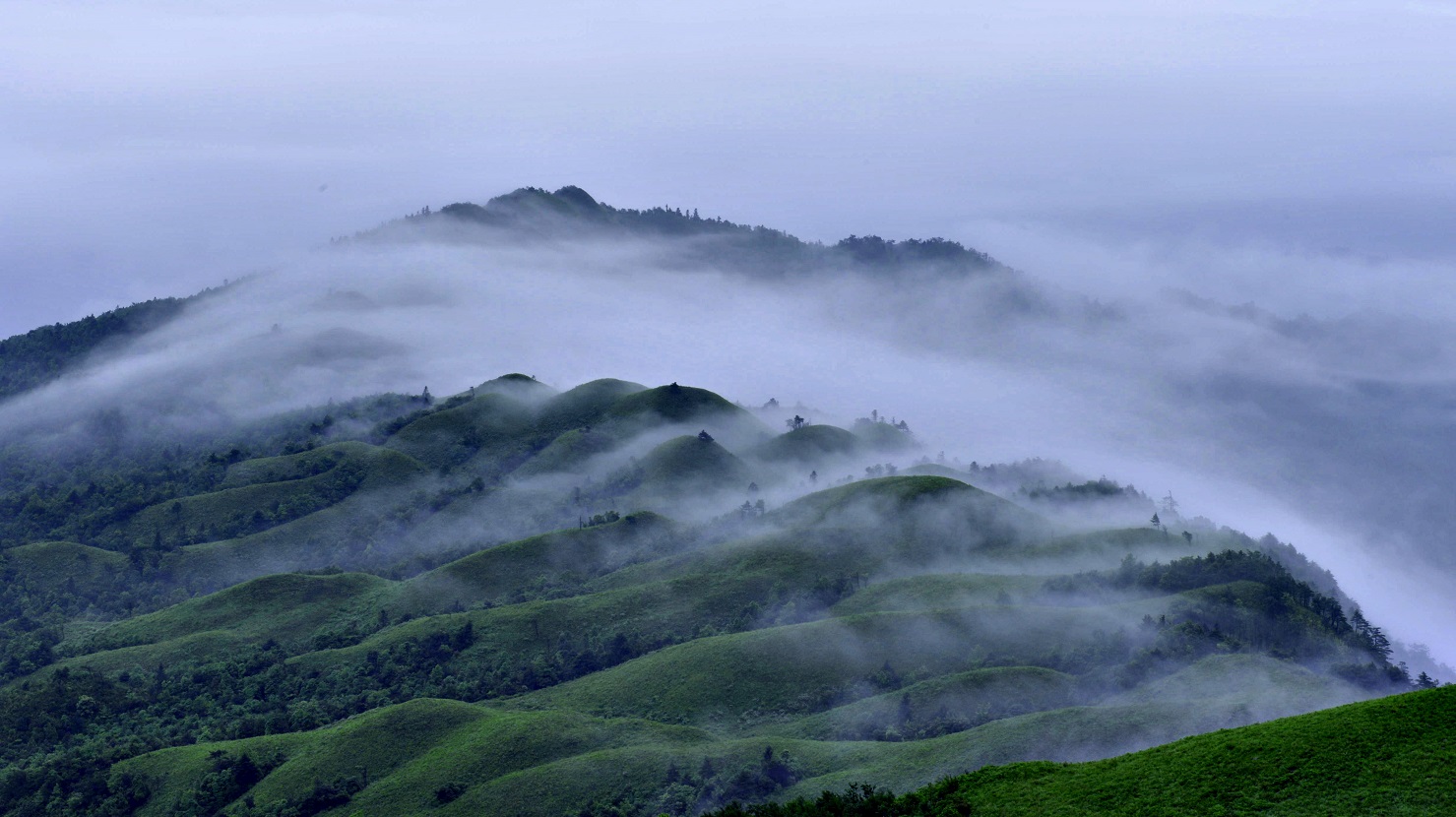 湖湘自然历丨芳草碧连天③燕子山上，拥抱星辰