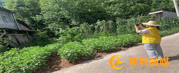 图片2_副本.png 图片2_副本.png