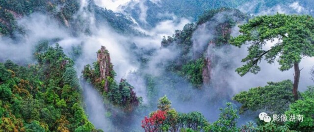 “湘粤福地·南岭之巅”中国莽山摄影大赛启动！