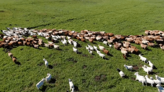 640.gif