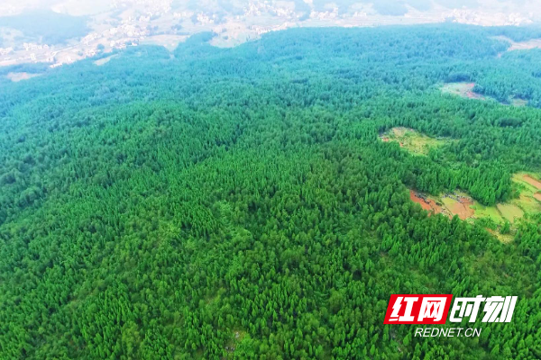隆回：石山造林经验在全国推广_邵商网