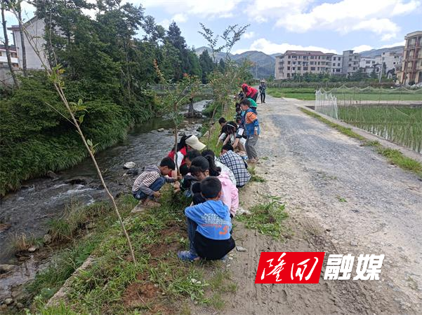 debca35182c30c51a59b487c383c3af.jpg debca35182c30c51a59b487c383c3af.jpg