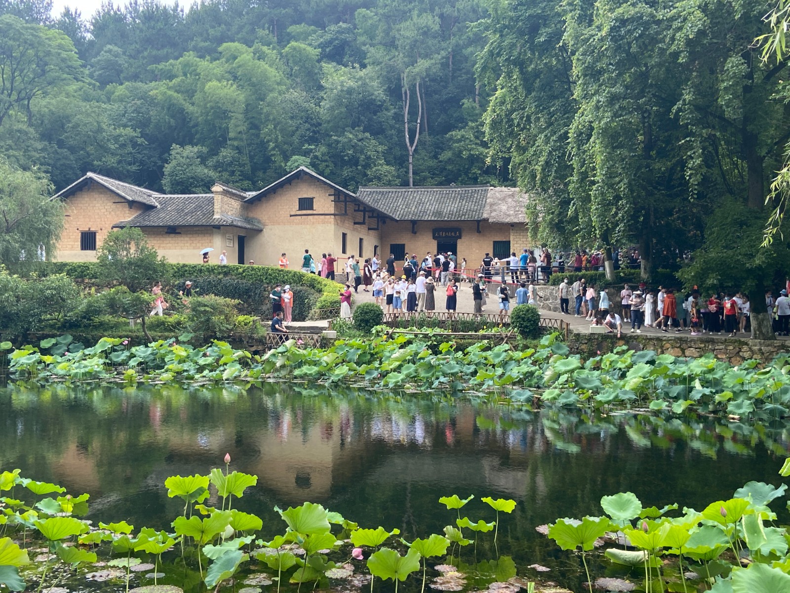 6.24中国疫情逐渐受控，韶山旅游强劲复苏 (1).jpg