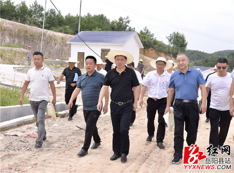 吴光文深入公田镇港口村查看天心种业养殖基地施工进度1.jpg
