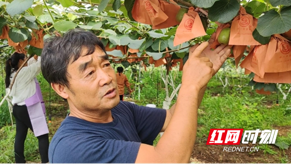 秦世峰为记者介绍今年基地发展情况.jpg