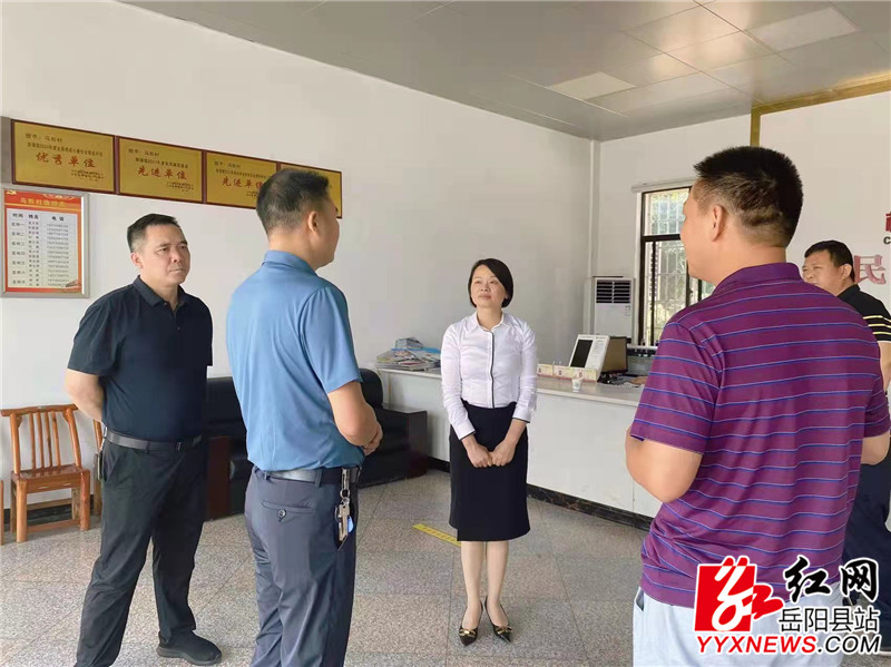 在新墙镇马形村实地察看乡村振兴工作.jpg