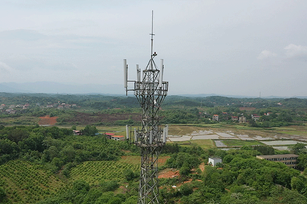 图片1.gif 图片1.gif