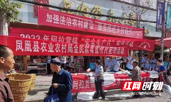 图片7.jpg