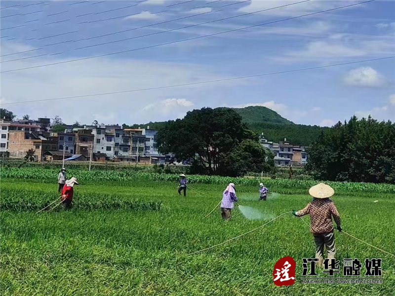 微信图片_202206291502586.png