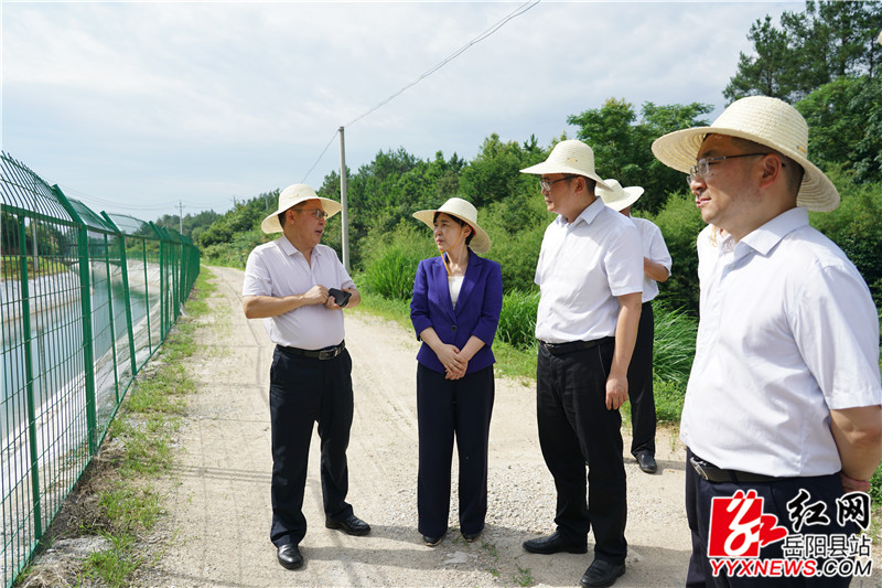 马娜实地察看公田镇甘田村北干渠明渠改建暗渠工程_副本.jpg