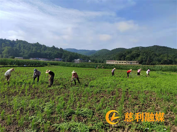 微信图片_20220628130153.jpg 微信图片_20220628130153.jpg