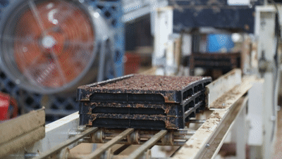 2B4A9407[00_00_04--00_00_07].gif