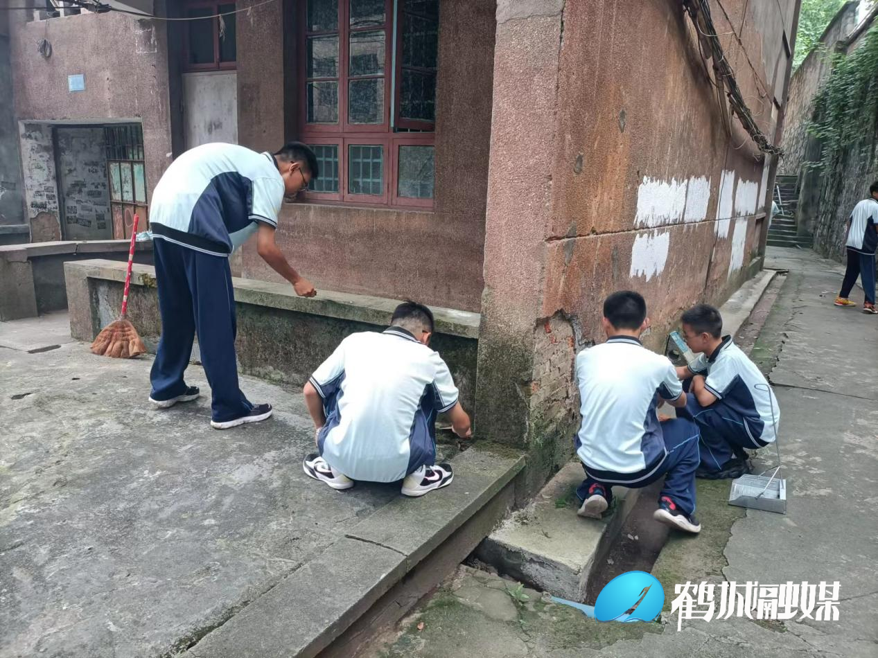 图片7.png