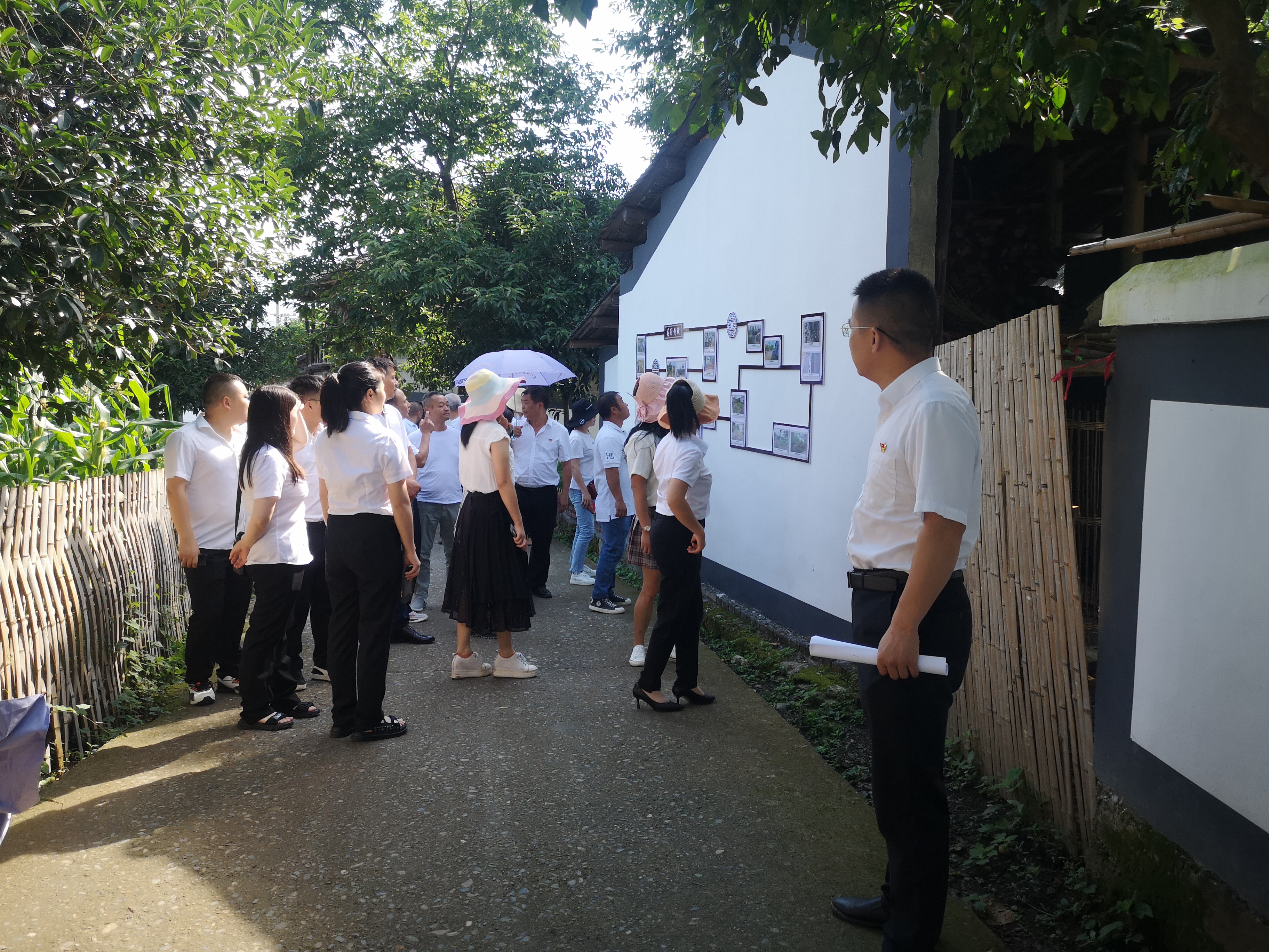 党员同志在黄旗村实地参观人居环境整治项目.jpg