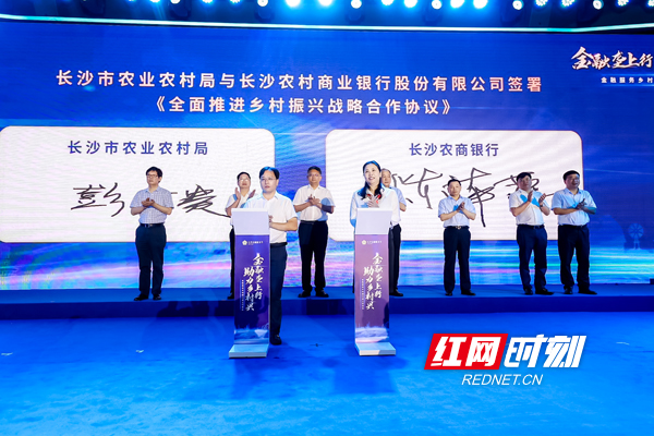 签约.jpg