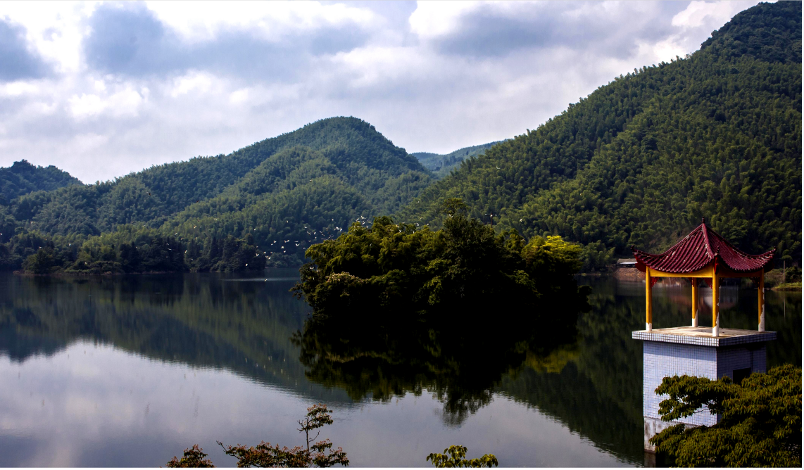 湖湘自然历丨万类霜天竞自由⑥游走在生命的“特殊”之境