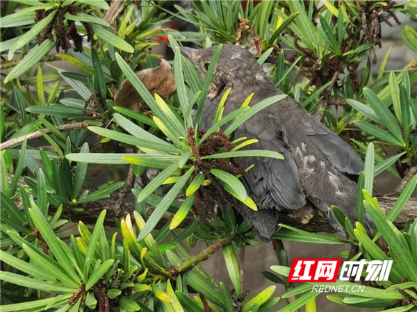 图片3.jpg 图片3.jpg