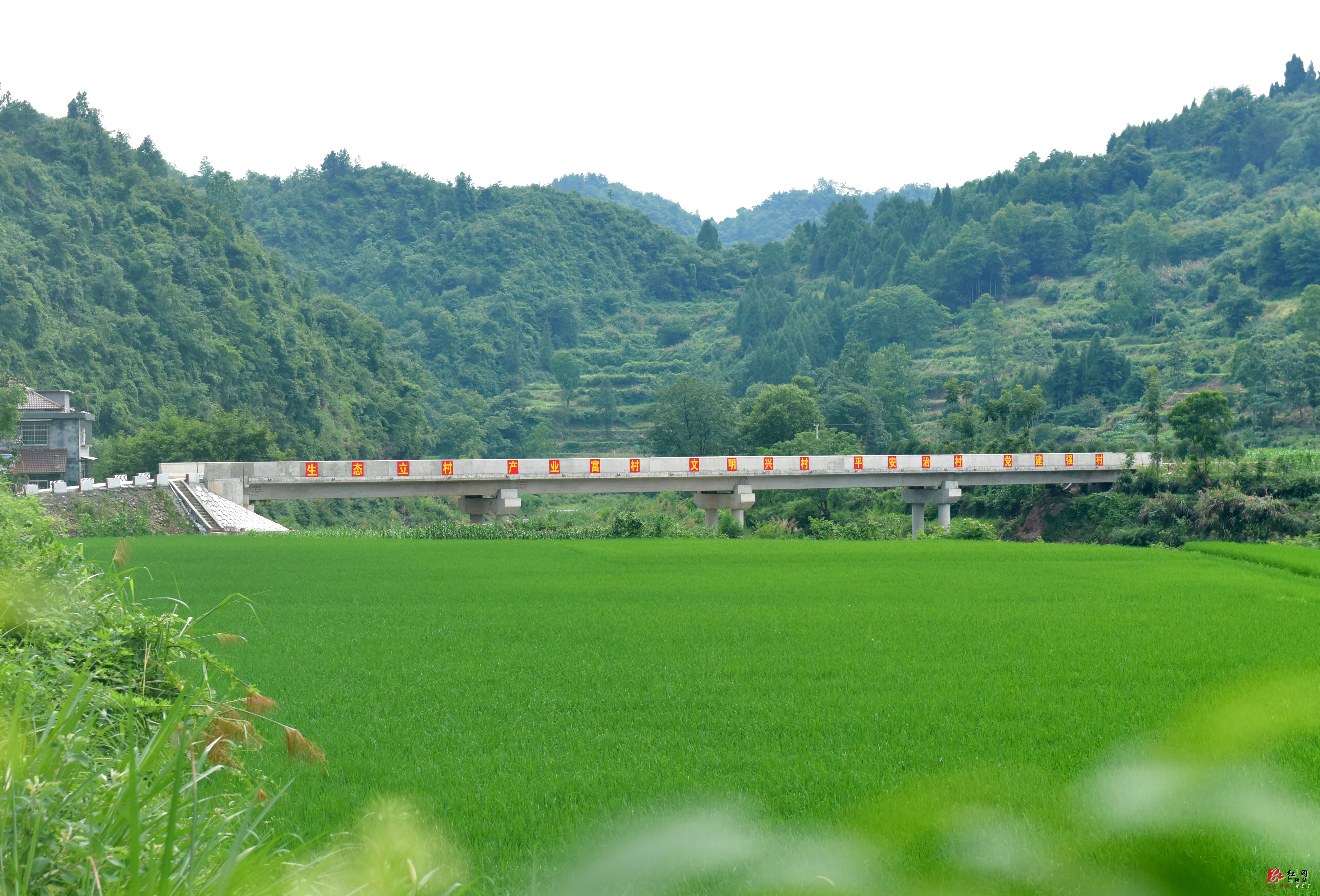 沅陵二酉苗族乡施溪村新修建的大桥。(瞿云 摄影).jpg 沅陵二酉苗族乡施溪村新修建的大桥。(瞿云 摄影).jpg