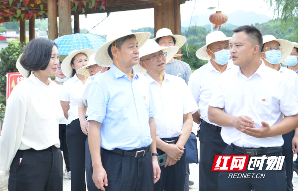 严华在城步为基层党员上党课并参加邵阳市人大代表小组主题活动(图2)