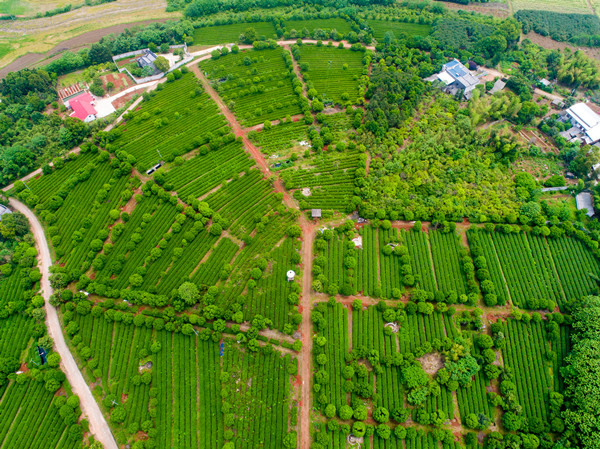 DJI_0059_副本.jpg