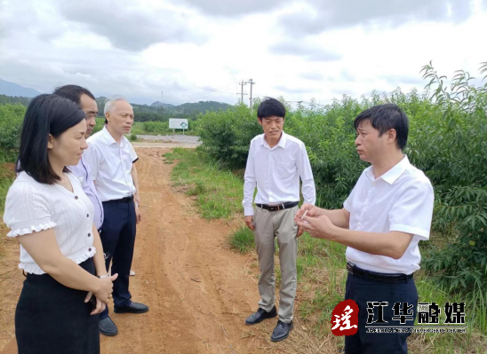 微信截图_20220708170416.png