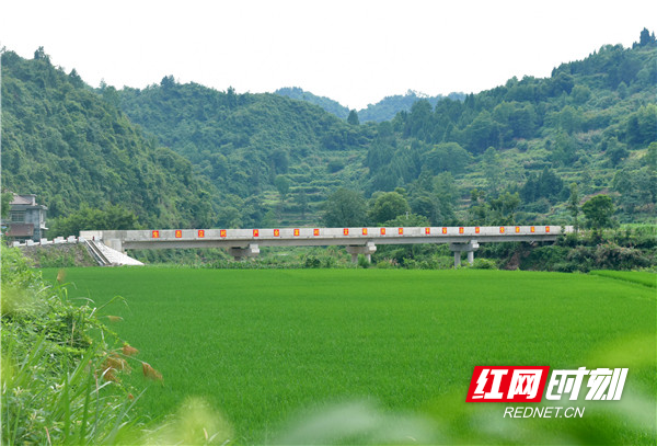 沅陵二酉苗族乡施溪村新修建的大桥。（瞿云 摄影）.jpg