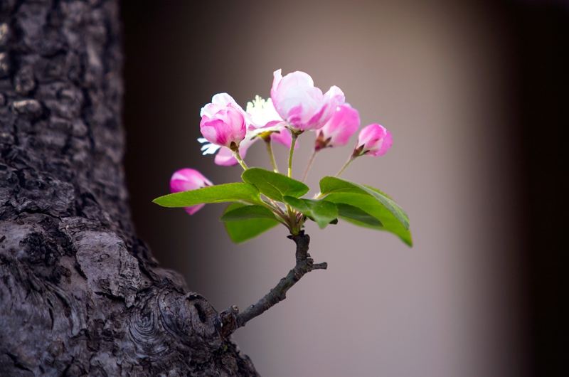 5ca4516b36391_副本.jpg 5ca4516b36391_副本.jpg