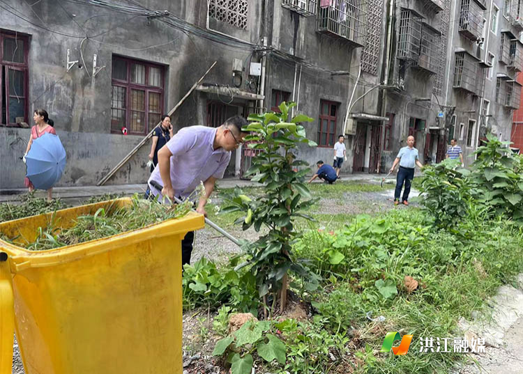 市财政局1.jpg