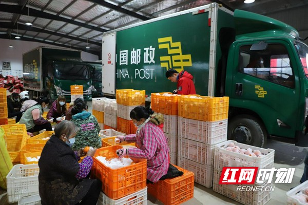 图片3.marked.jpg 图片3.marked.jpg