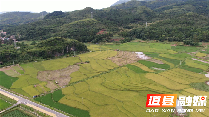 0711道县：机械化作业为“双抢”按下“快进键”02.jpg