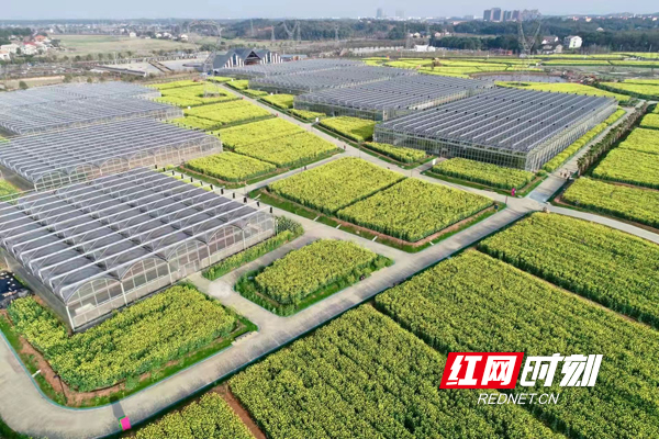图片11副本.jpg