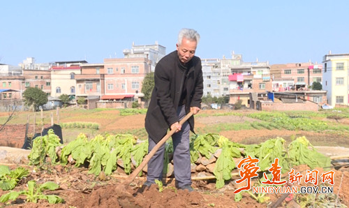 【宁远县第五届道德模范—孝老爱亲】刘水生：一辈子只做好一件事情2_500.jpg