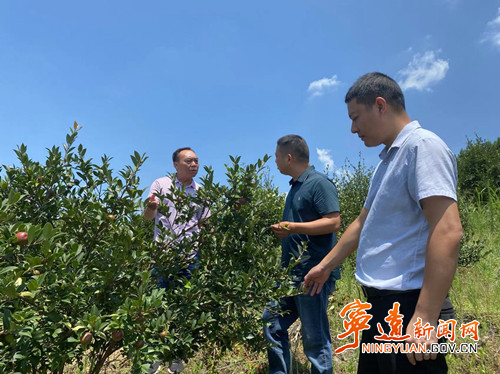 宁远：保险理赔快到账  为农险受灾户“保驾护航”_副本500.jpg