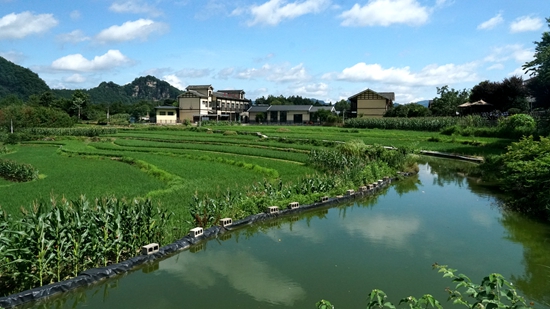 DSC02780(1).jpg