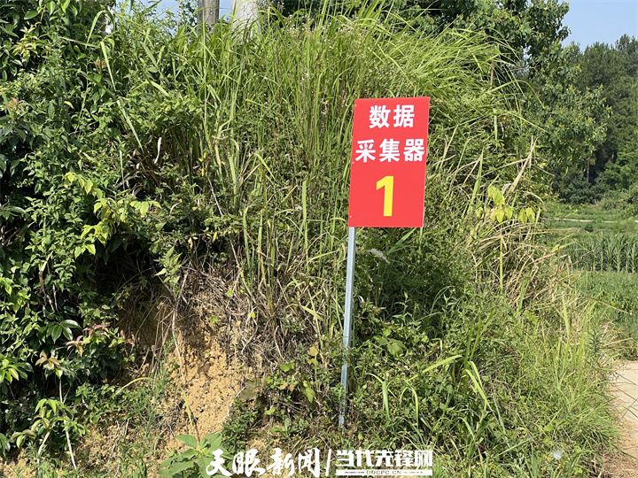 1657953801436931.jpg 6.jpg