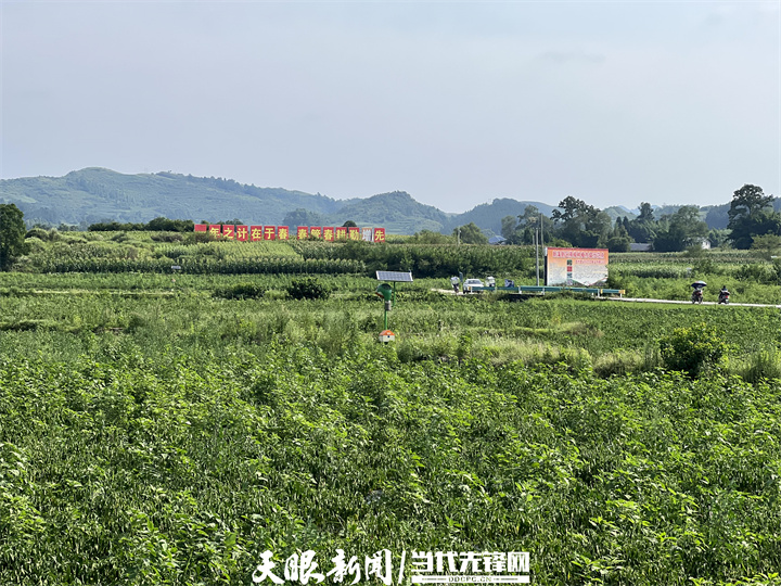 1657953599410178.jpg 2.jpg