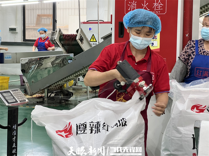 1657953950370569.jpg 8.jpg