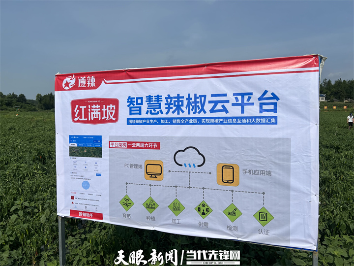 1657953852154748.jpg 7.jpg