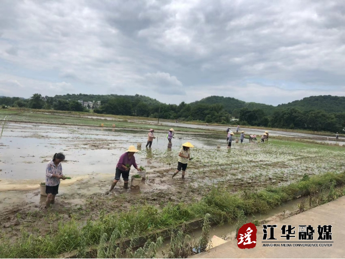 微信图片_20220718160942.png
