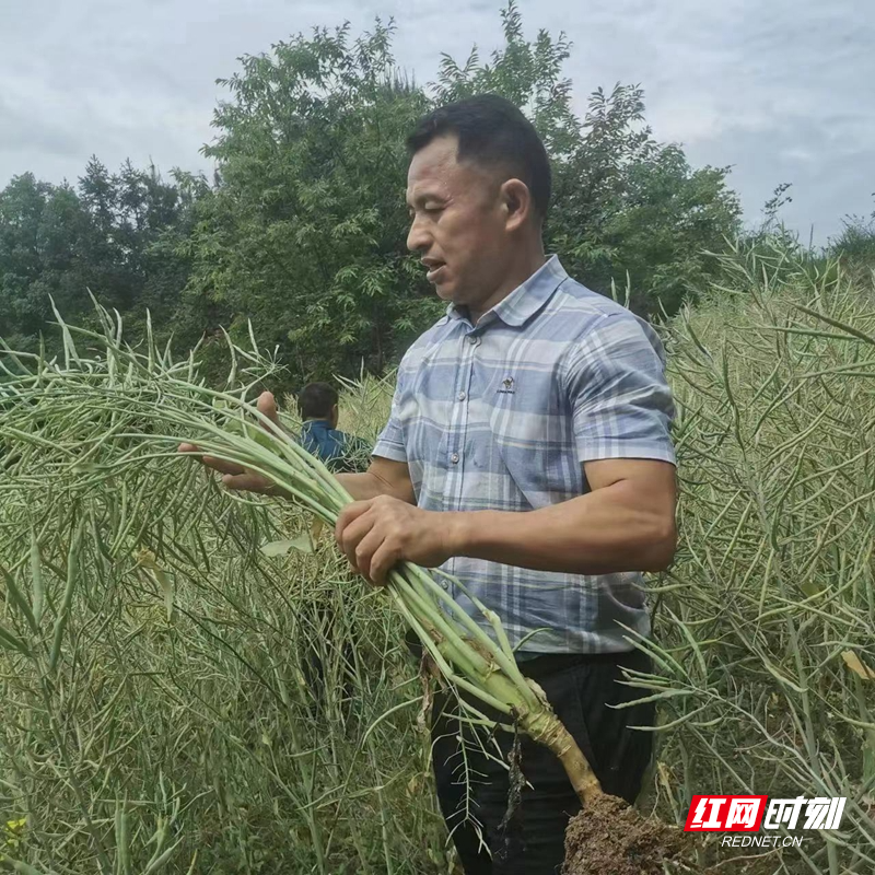 微信图片_20220718170938.jpg
