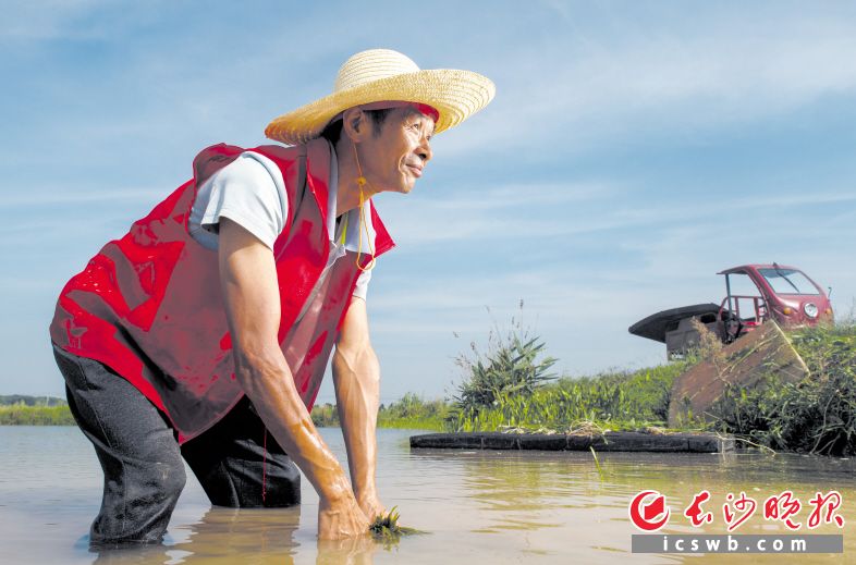 　　黄显俊的裤子全被湖水打湿，马甲也被汗水浸透。