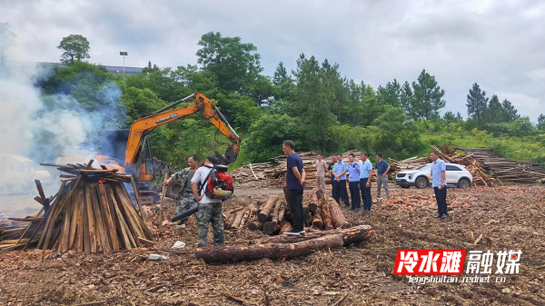 冷水滩区开展“护松2022”松材线虫病疫木检疫执法专项行动.png 冷水滩区开展“护松2022”松材线虫病疫木检疫执法专项行动.png