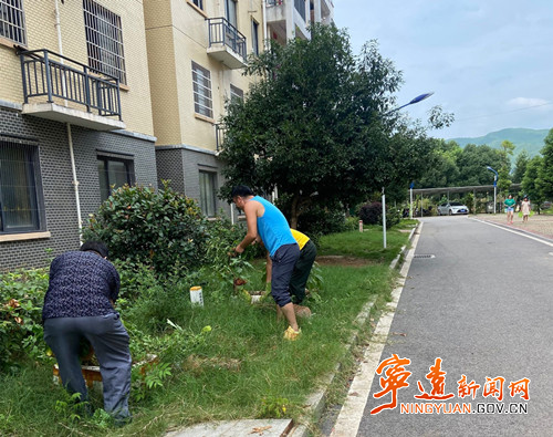 【创建全国文明城市】宁远：让“小菜园”变回“绿化带”2_副500.jpg