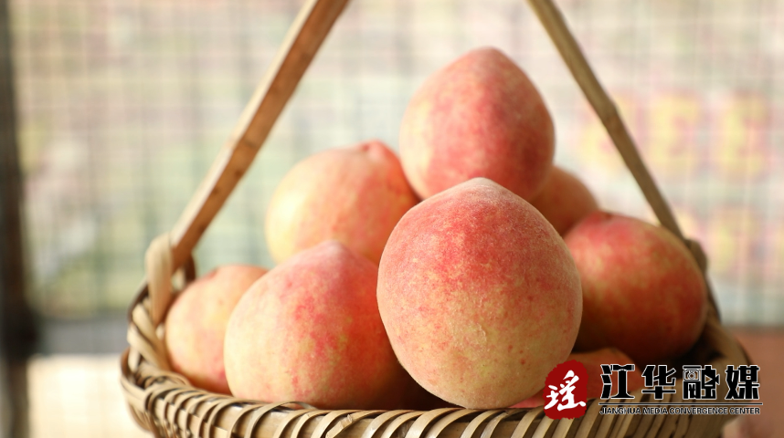 微信截图_20220708091953.png