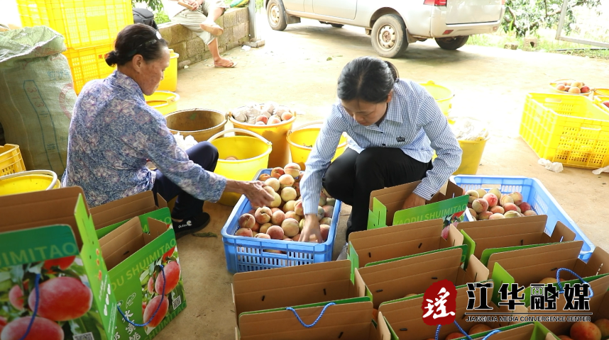 微信截图_20220708091940.png