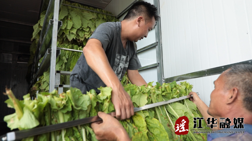 微信截图_20220706085126.png 微信截图_20220706085126.png