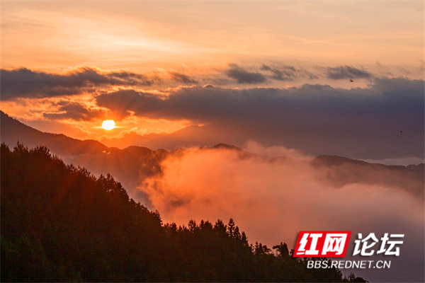 东方云海 勤奋向上.jpg 东方云海 勤奋向上.jpg