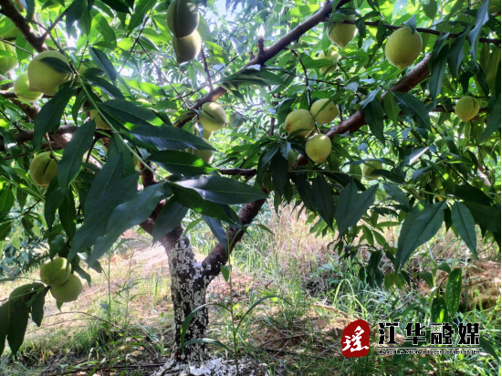 微信图片_20220721152417.png