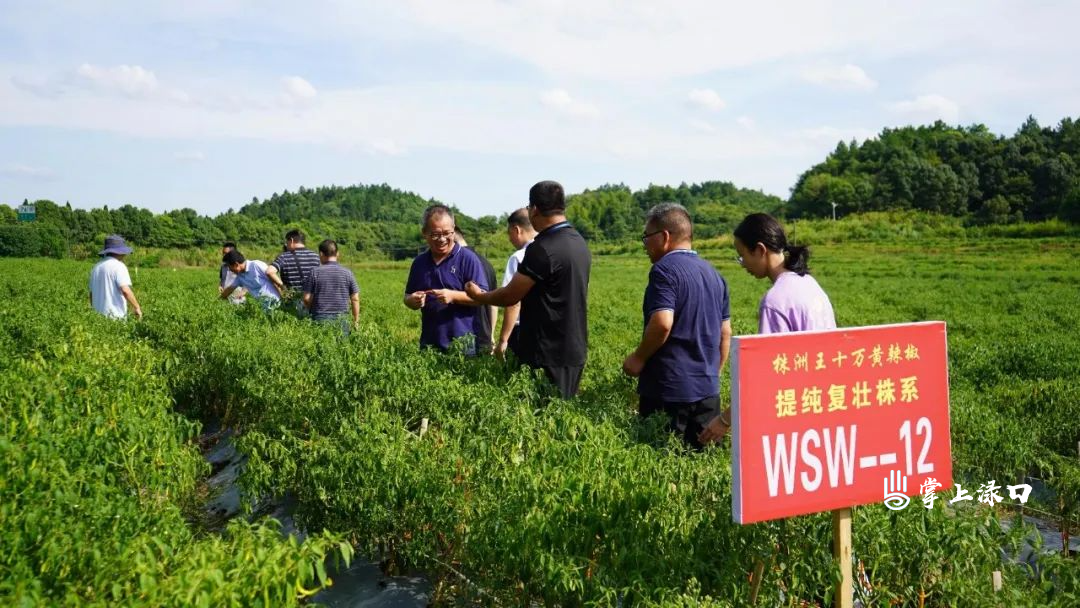 微信图片_20220721161955.jpg 微信图片_20220721161955.jpg